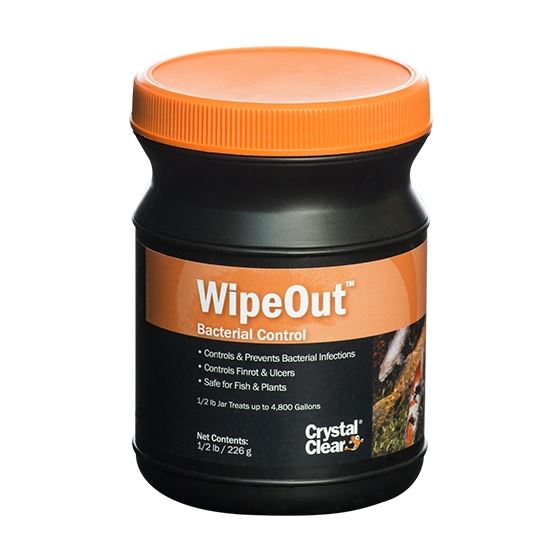 WipeOut Bacterial Treatment WLM, 8oz