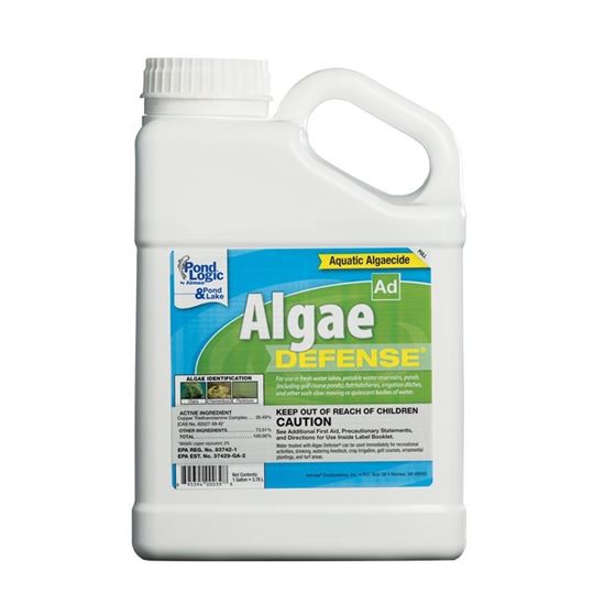 Algae Defense Algaecide, 1 Gallon