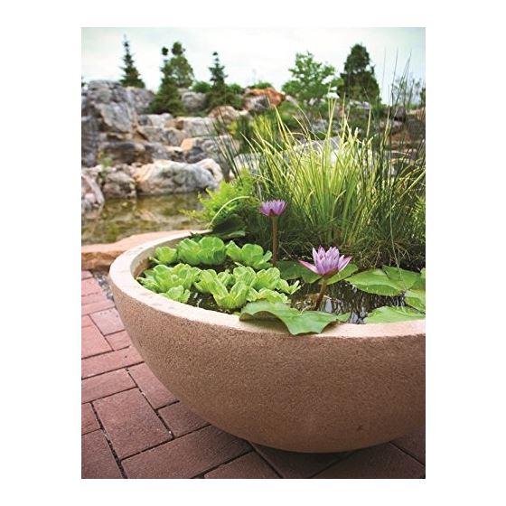 40004 Container Water Garden And Pond Maintenanc-3